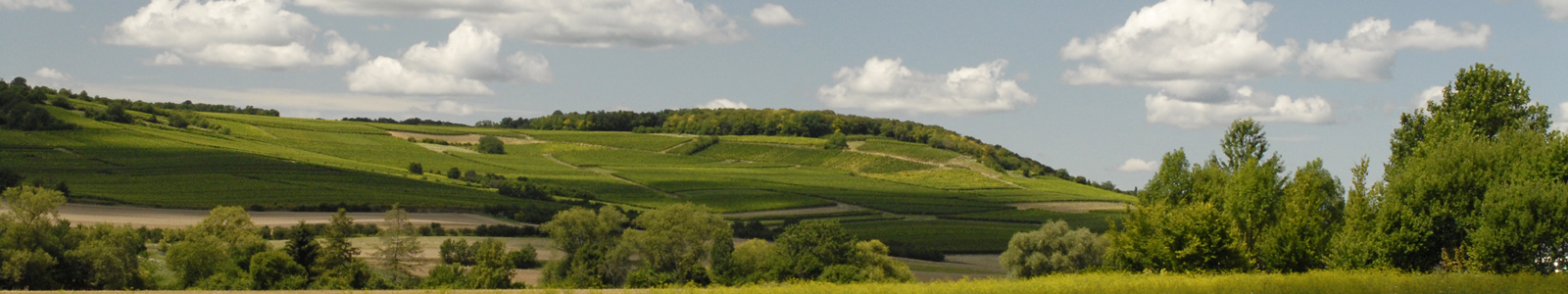 grüne Hügellandschaft © Dienstleistungszentren Ländlicher Raum